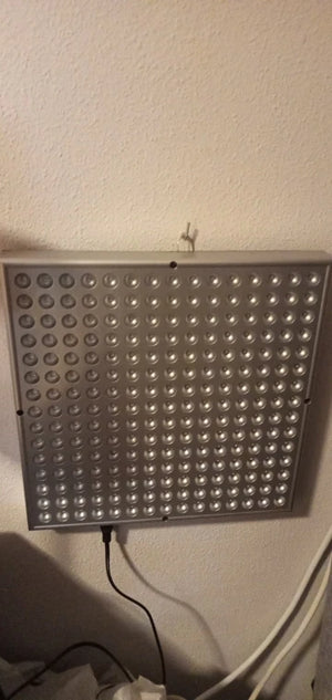 Acdce44dca3a94358a71a8beb54e2d9e5g.jpg